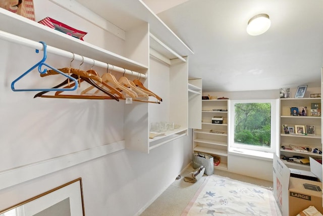 2500 Dana Cv, Austin, TX 78746 - view of walk in closet