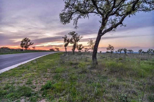 169 Westridge Way, Kingsland, TX 78639 - photo 3