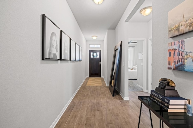 812 Olive Creek Dr Unit 44, Georgetown, TX 78633 - photo 29