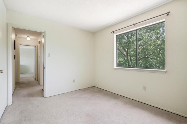 11402 Hidden Quail Dr, Austin, TX 78758 - photo 10