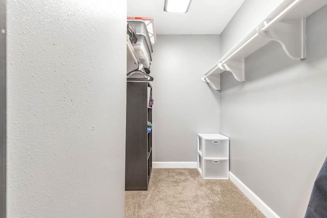 1102 Girard St, San Marcos, TX 78666 - walk in closet with carpet flooring