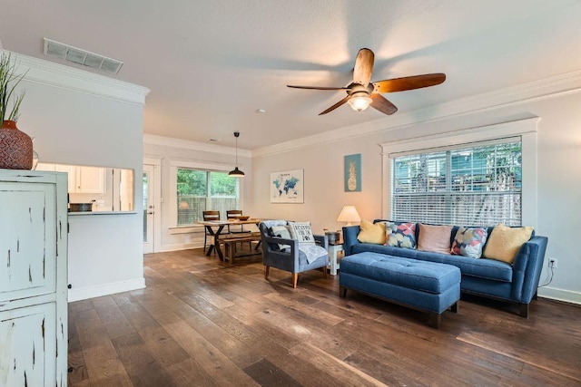 1117 Algarita Ave, Austin, TX 78704 - living room featuring crown molding, a ceiling fan, and dark wood-style floors