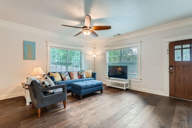 1117 Algarita Ave, Austin, TX 78704 - living room with a ceiling fan, dark wood-style floors, and ornamental molding