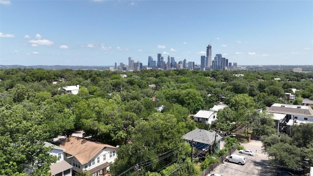 1117 Algarita Ave, Austin, TX 78704 - photo 27