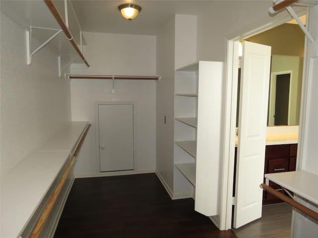4008 Sable Oaks Dr, Round Rock, TX 78664 - walk in closet featuring dark wood-style flooring