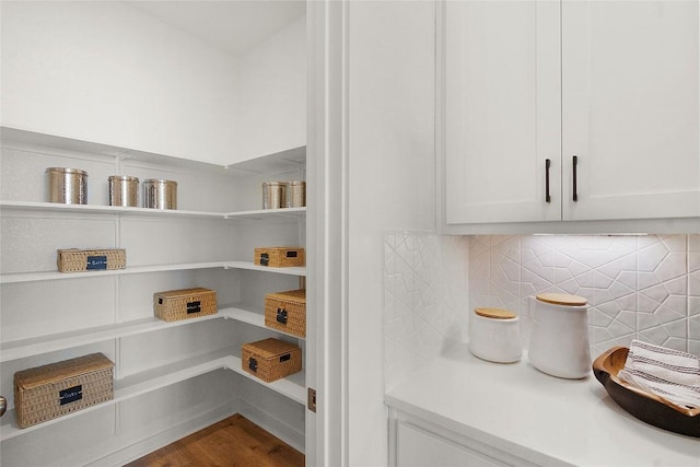 13613 Thomas Wheeler Way, Manor, TX 78653 - view of pantry