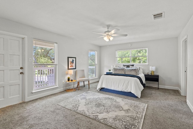 4003 Park Dr, Round Rock, TX 78681 - carpeted bedroom with baseboards and ceiling fan