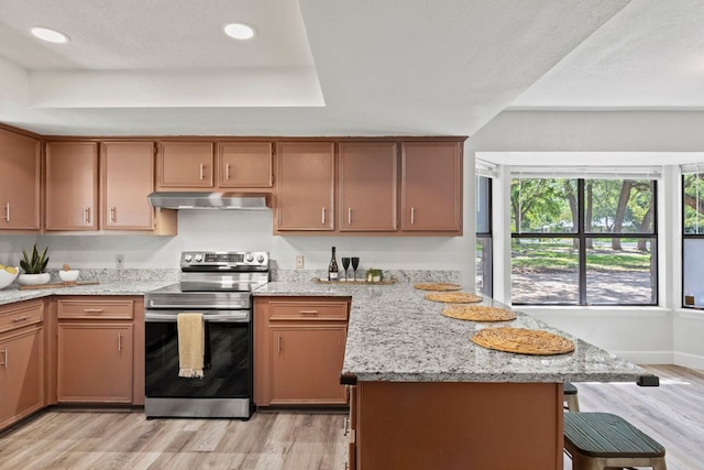 4003 Park Dr, Round Rock, TX 78681 - kitchen featuring stainless steel electric stove, under cabinet range hood, light wood-type flooring, a peninsula, and a breakfast bar area