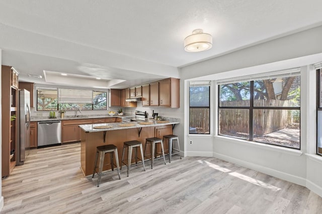 4003 Park Dr, Round Rock, TX 78681 - kitchen featuring stainless steel appliances, a peninsula, light wood finished floors, and a tray ceiling