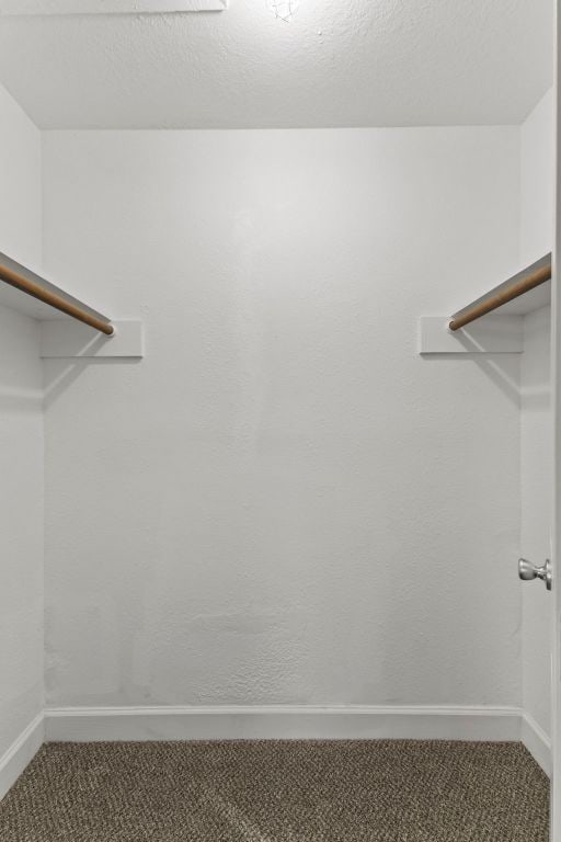 4003 Park Dr, Round Rock, TX 78681 - spacious closet featuring carpet floors