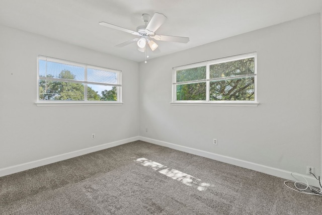 4003 Park Dr, Round Rock, TX 78681 - empty room featuring plenty of natural light, carpet floors, and ceiling fan