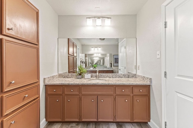 4003 Park Dr, Round Rock, TX 78681 - bathroom featuring vanity and wood finished floors