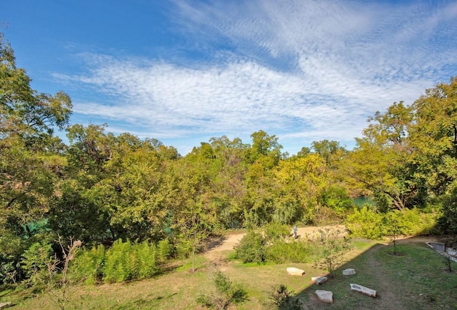 1900 Barton Springs Rd Unit 3038, Austin, TX 78704 - view of woods