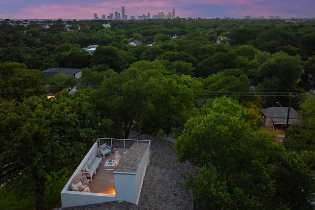 1303 Deloney St, Austin, TX 78721 - aerial view at dusk of a forest view
