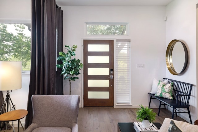 1303 Deloney St, Austin, TX 78721 - entrance foyer with plenty of natural light and hardwood / wood-style flooring
