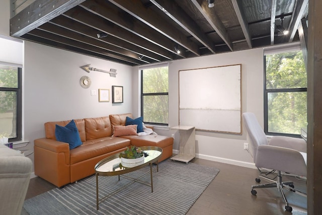 1305 Deloney St, Austin, TX 78721 - living room featuring wood finished floors and plenty of natural light
