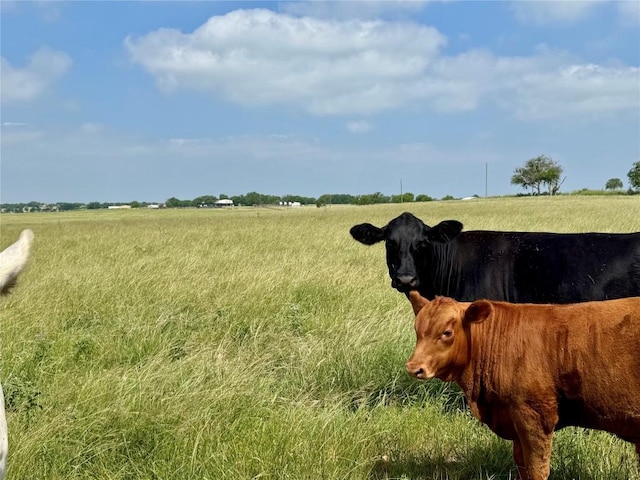 17ACRES Smith Dairy Rd, Belton, TX 76513