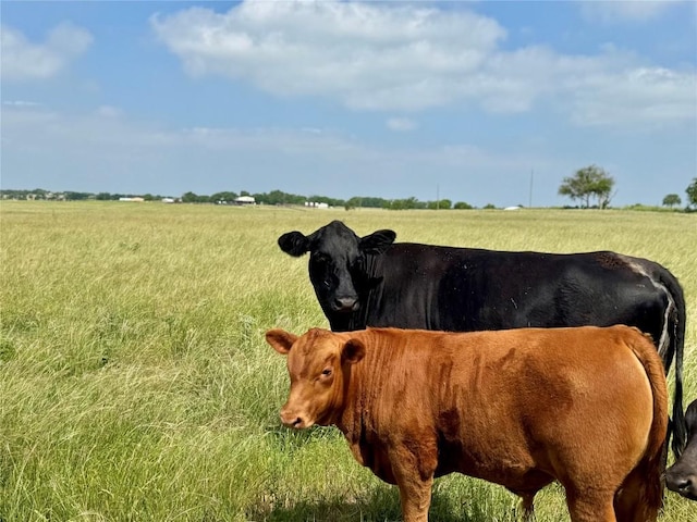 17ACRES Smith Dairy Rd, Belton, TX 76513