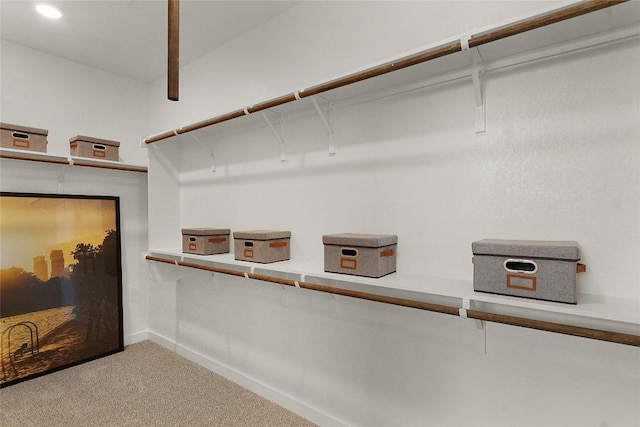 20504 Ed Townes Ter, Manor, TX 78653 - spacious closet featuring carpet