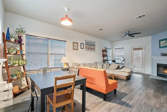 9206 Brents Elm Dr, Austin, TX 78744 - dining room with plenty of natural light, wood finished floors, ceiling fan, and a high end fireplace