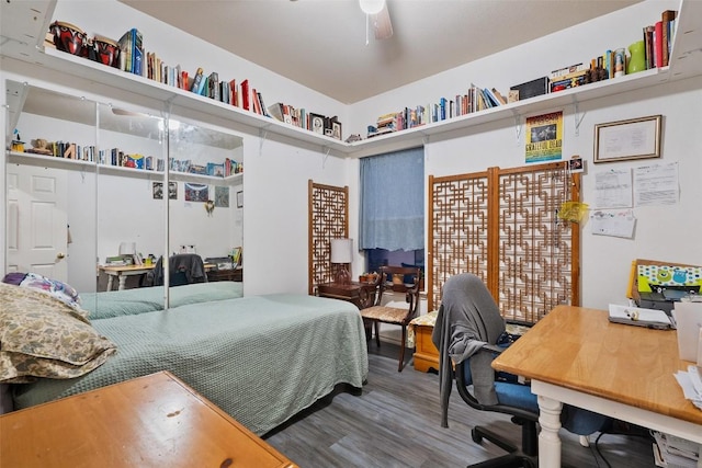 9206 Brents Elm Dr, Austin, TX 78744 - bedroom featuring wood finished floors, an office area, and a ceiling fan