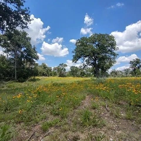 208 Rolling Oak Dr, Elgin, TX 78621 - photo 4