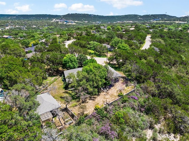 21013 Ridgeview Loop, Lago Vista, TX 78645 - bird's eye view