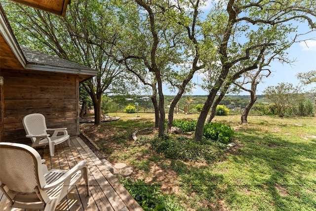 21013 Ridgeview Loop, Lago Vista, TX 78645 - view of yard