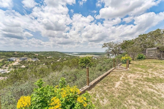 21013 Ridgeview Loop, Lago Vista, TX 78645 - view of yard featuring a garden