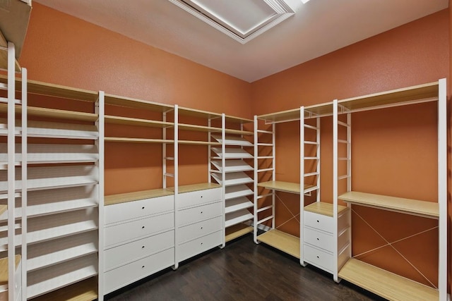 7617 Roaring Springs Dr, Austin, TX 78736 - walk in closet featuring dark wood-style flooring