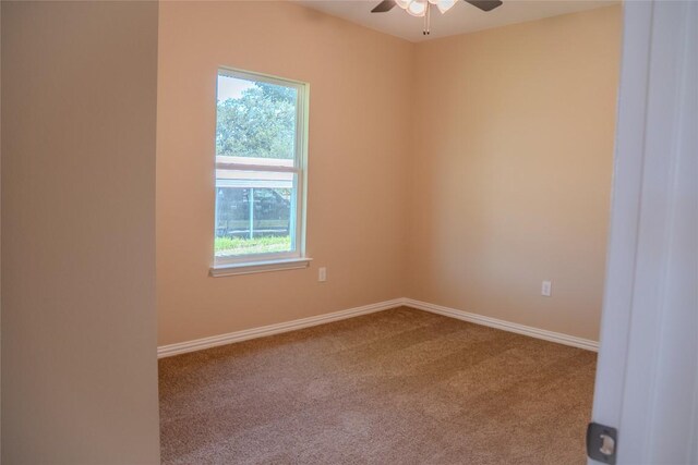 1858 Mosswood, Kingsland, TX 78639 - photo 8