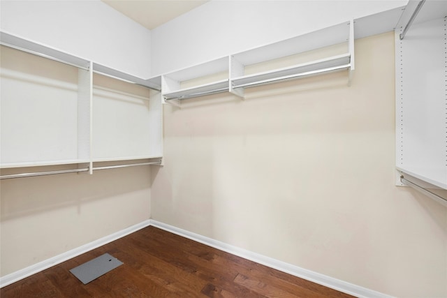 130 Enchanted Dr, Georgetown, TX 78633 - walk in closet featuring dark wood finished floors