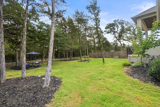 147 William Hersee Dr, Bastrop, TX 78602 - view of yard