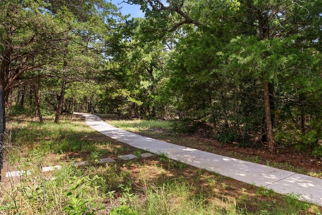 147 William Hersee Dr, Bastrop, TX 78602 - view of property's community with a forest view