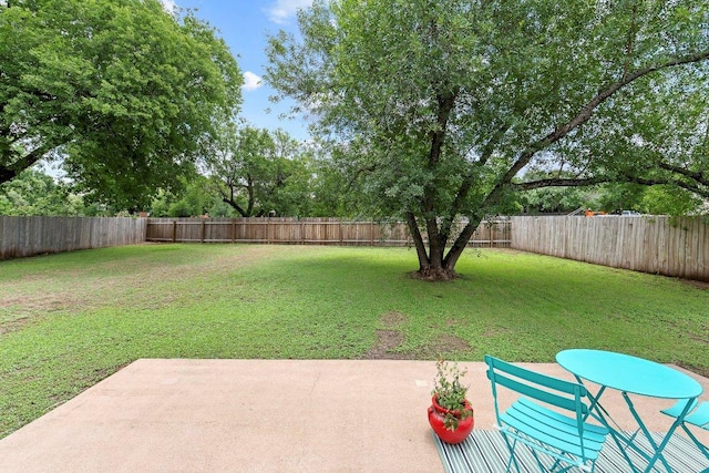 907 Great Oaks Cv, Round Rock, TX 78681 - fenced backyard with a patio area
