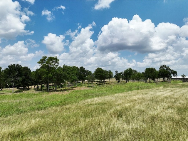 0000 Mcelroy Ln, New Ulm, TX 78950 - photo 3