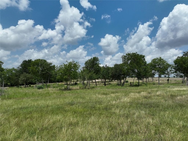 0000 Mcelroy Ln, New Ulm, TX 78950 - photo 4