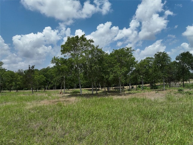 0000 Mcelroy Ln, New Ulm, TX 78950 - photo 7