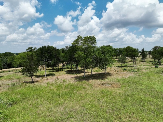 0000 Mcelroy Ln, New Ulm, TX 78950 - photo 8