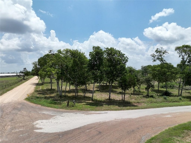 0000 Mcelroy Ln, New Ulm, TX 78950 - photo 10