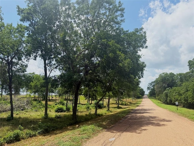 0000 Mcelroy Ln, New Ulm, TX 78950 - photo 11