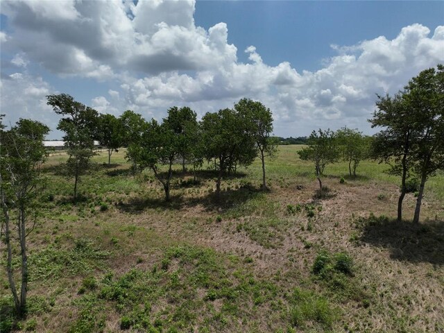 0000 Mcelroy Ln, New Ulm, TX 78950 - photo 12