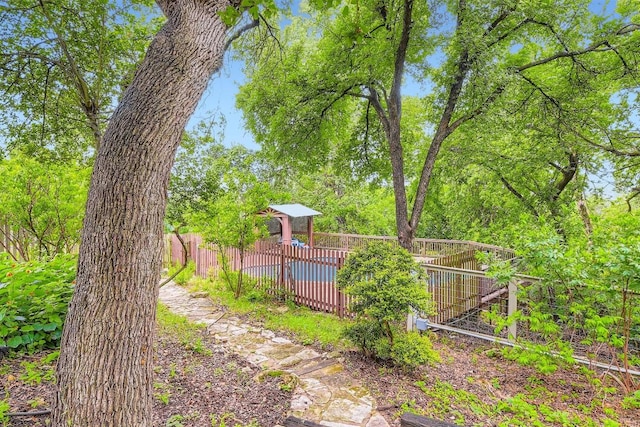 6819 Bayridge Ter, Austin, TX 78759 - view of yard