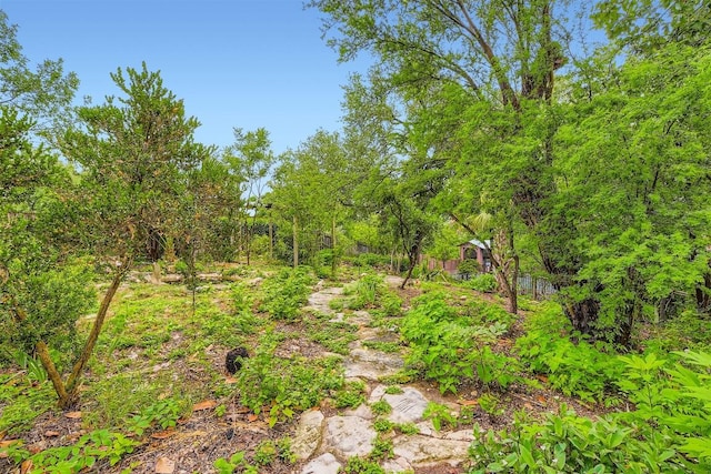 6819 Bayridge Ter, Austin, TX 78759 - view of local wilderness