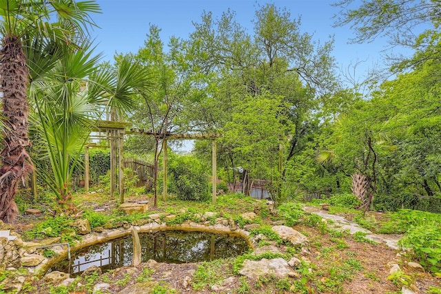 6819 Bayridge Ter, Austin, TX 78759 - view of yard