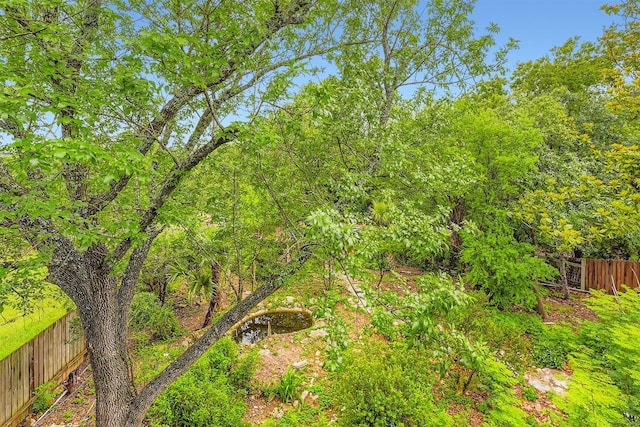 6819 Bayridge Ter, Austin, TX 78759 - view of yard