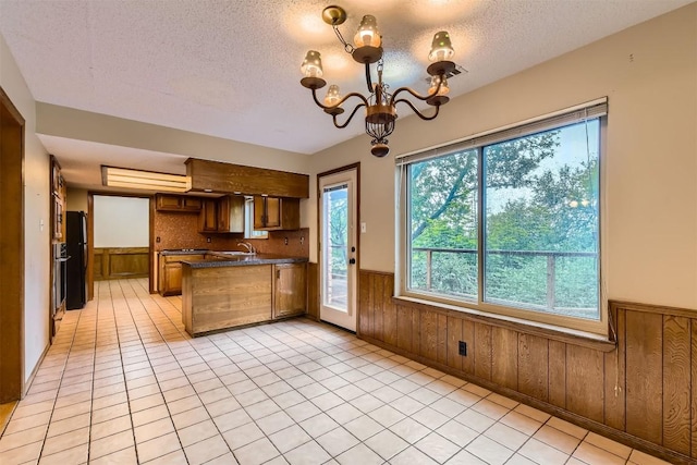 6819 Bayridge Ter, Austin, TX 78759 - kitchen with plenty of natural light, a wainscoted wall, a peninsula, a textured ceiling, and dark countertops