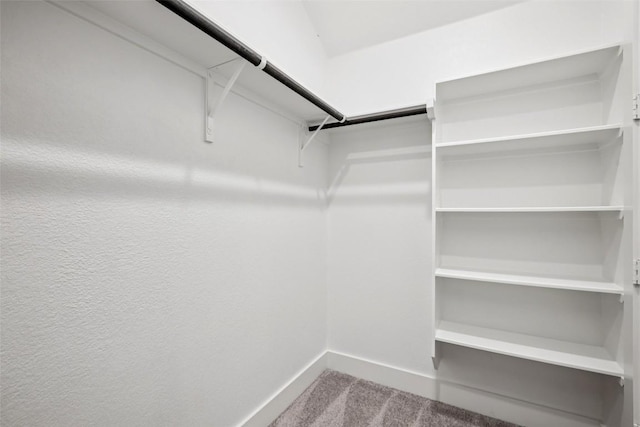 412 Pin Cherry Pass, San Marcos, TX 78666 - spacious closet featuring carpet