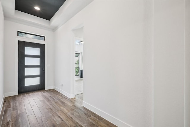 412 Pin Cherry Pass, San Marcos, TX 78666 - entryway with wood finished floors and a tray ceiling
