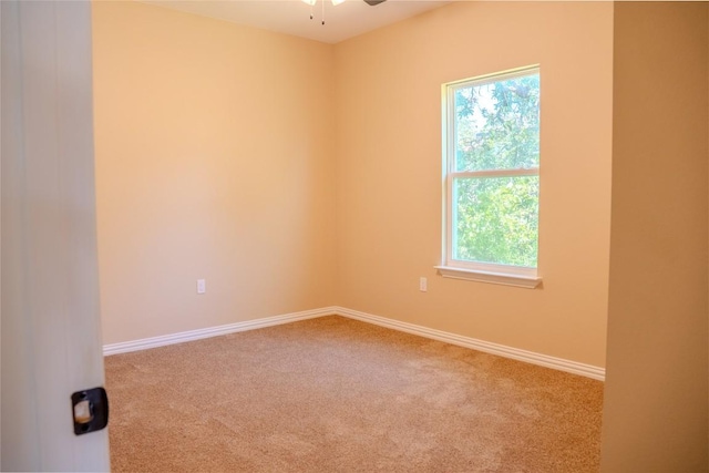 1917 Greenwood Ave, Kingsland, TX 78639 - photo 14